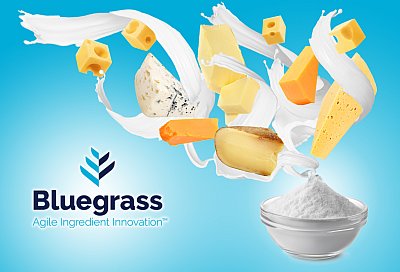 1250x850_Dairy-Swirl_lightBlue_Logo.jpg